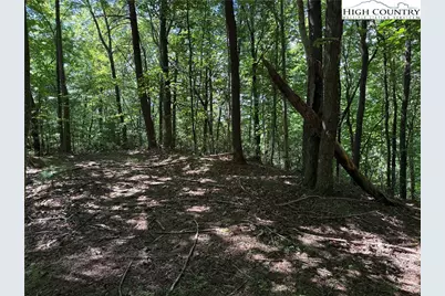 Lot 102 & 103 Hickory Hollow Road, Purlear, NC 28665 - Photo 14