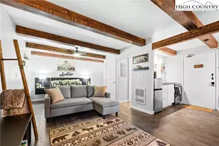 102 Hemlock Hill Dr, Banner Elk, NC 28604 - Photo 2