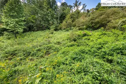 Lot 9 Yasmine Lane, Vilas, NC 28692 - Photo 14