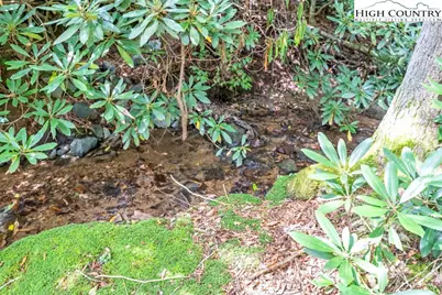 450 Astor Cook Road, Blowing Rock, NC 28605 - Photo 36