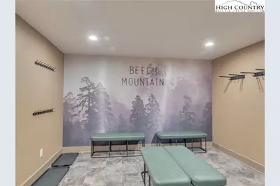 216 Greenbriar Road, Beech Mountain, NC 28604 - Photo 6