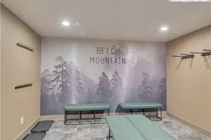 216 Greenbriar Rd, Beech Mountain, NC 28604 - Photo 6