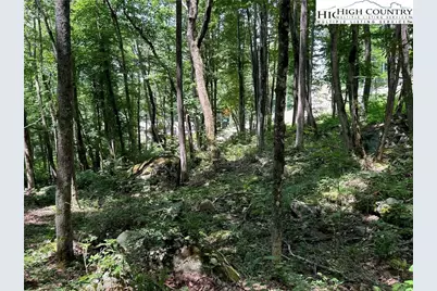 C52 Firefly Cove, Banner Elk, NC 28604 - Photo 2