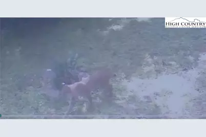 582 Deer Crossing Lane, Lenoir, NC 28645 - Photo 42