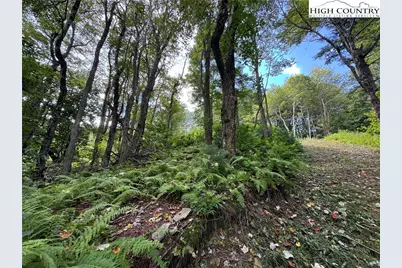 Tbd Wyeth Drive, Blowing Rock, NC 28605 - Photo 8