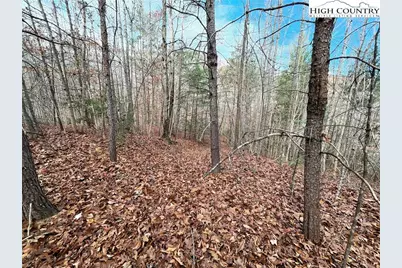 3308 Valley Drive, Lenoir, NC 28645 - Photo 4