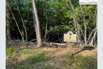 Lot R4 Coyote Trail, Boone, NC 28607 - Photo 1