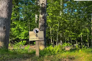 Lot T4 Coyote Trail, Boone, NC 28607 - Photo 1