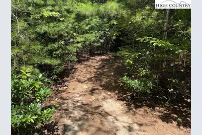 Lot 163 Staghorn Road, Purlear, NC 28665 - Photo 8