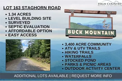 Lot 163 Staghorn Road, Purlear, NC 28665 - Photo 1