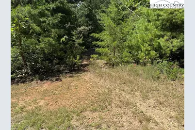 Lot 163 Staghorn Road, Purlear, NC 28665 - Photo 6