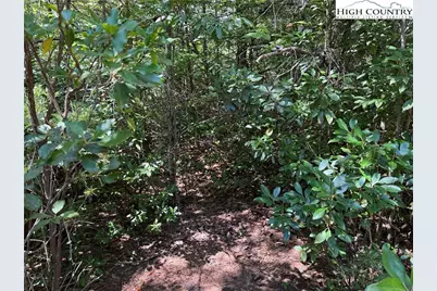 Lot 163 Staghorn Road, Purlear, NC 28665 - Photo 6