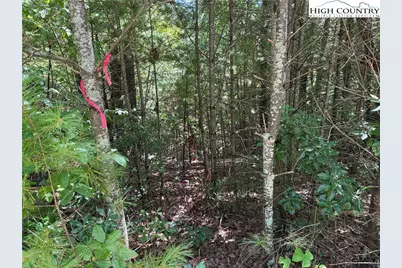 Lot 163 Staghorn Road, Purlear, NC 28665 - Photo 12