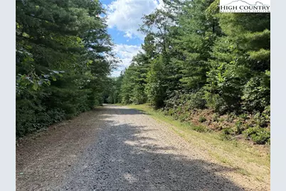 Lot 163 Staghorn Road, Purlear, NC 28665 - Photo 4