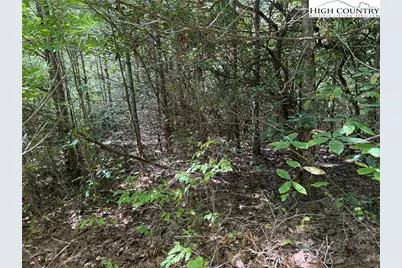 Lot 163 Staghorn Road, Purlear, NC 28665 - Photo 8