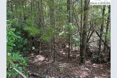 Lot 163 Staghorn Road, Purlear, NC 28665 - Photo 10