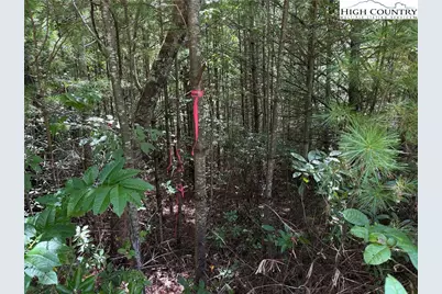 Lot 163 Staghorn Road, Purlear, NC 28665 - Photo 10
