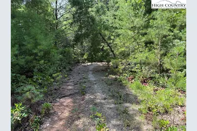 Lot 163 Staghorn Road, Purlear, NC 28665 - Photo 2