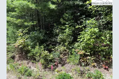 Lot 163 Staghorn Road, Purlear, NC 28665 - Photo 12