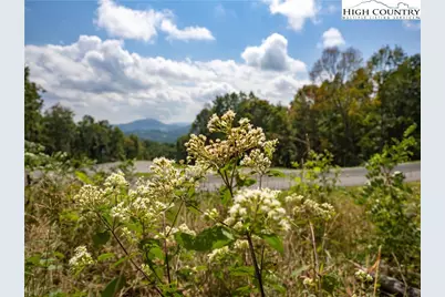 Lot 25 Poplar Forest Drive, Boone, NC 28607 - Photo 22