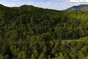 Lot C3 Bear Paw Rd, Elk Park, NC 28622 - Photo 1