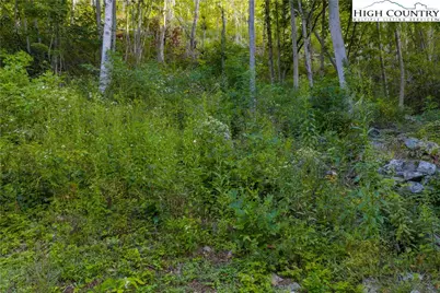 Lot C3 Bear Paw Road, Elk Park, NC 28622 - Photo 8