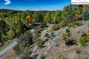 236 Stack Rock Rd, Elk Park, NC 28622 - Photo 34