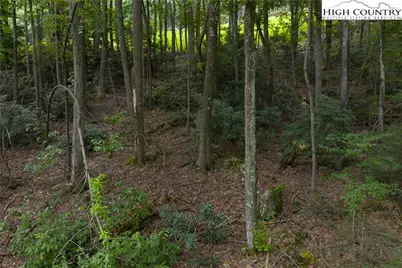 Lot 46 Wildcat Wilderness Parkway, Deep Gap, NC 28618 - Photo 18