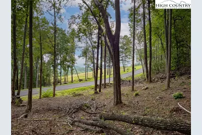 Lot 46 Wildcat Wilderness Parkway, Deep Gap, NC 28618 - Photo 1