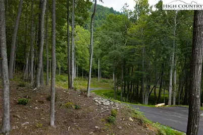 Lot 46 Wildcat Wilderness Parkway, Deep Gap, NC 28618 - Photo 10