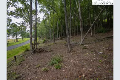 Lot 46 Wildcat Wilderness Parkway, Deep Gap, NC 28618 - Photo 6