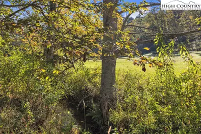 1946 River Breeze Drive, Creston, NC 28615 - Photo 42