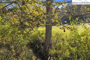 1946 River Breeze Dr, Creston, NC 28615 - Photo 42