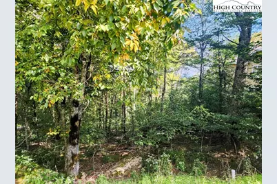1060 Charter Hills Road, Beech Mountain, NC 28604 - Photo 2