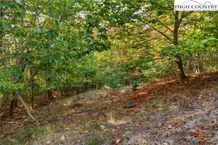 127 Mill Pond Ln, Banner Elk, NC 28604 - Photo 44