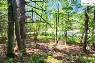 297 Old Turnpike NW Rd, Banner Elk, NC 28604 - Photo 38