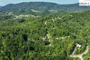 1463 Snaggy Mountain Blvd, Boone, NC 28607 - Photo 2