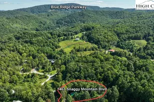 1463 Snaggy Mountain Blvd, Boone, NC 28607 - Photo 4