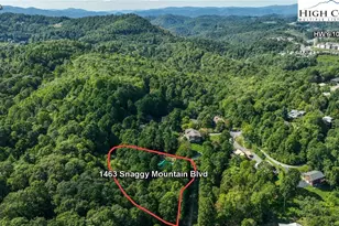 1463 Snaggy Mountain Blvd, Boone, NC 28607 - Photo 8