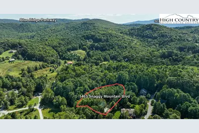 1463 Snaggy Mountain Boulevard, Boone, NC 28607 - Photo 6