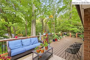 357 Kalmia Ln, Boone, NC 28607 - Photo 4