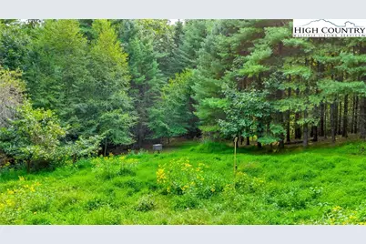 Tbd US Hwy 221 S, Fleetwood, NC 28626 - Photo 24