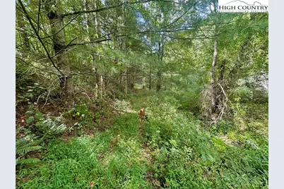 Tbd Old Anderson Quarry Road, Vilas, NC 28692 - Photo 14
