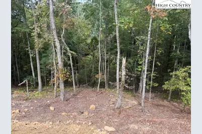 Tbd Peck Peak Road, Jefferson, NC 28640 - Photo 18