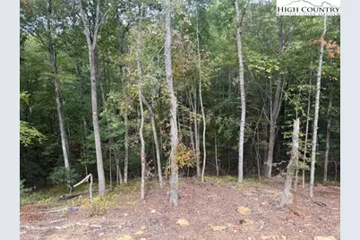 Tbd Peck Peak Road, Jefferson, NC 28640 - Photo 18