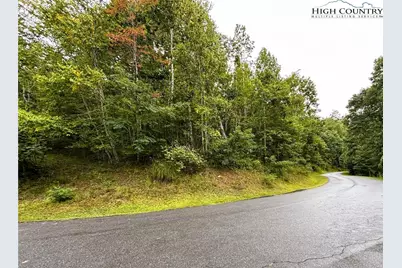 Lot #2A Falls Creek Parkway, Elk Park, NC 28622 - Photo 2