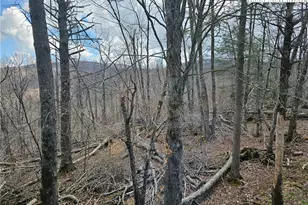 109 Foxgrape Hollow, Beech Mountain, NC 28604 - Photo 44