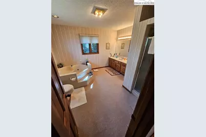 109 Foxgrape Hollow, Beech Mountain, NC 28604 - Photo 14