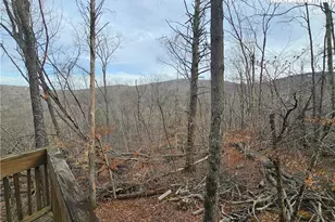 109 Foxgrape Hollow, Beech Mountain, NC 28604 - Photo 38