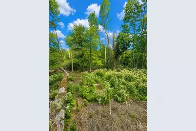 109 Foxgrape Hollow, Beech Mountain, NC 28604 - Photo 18